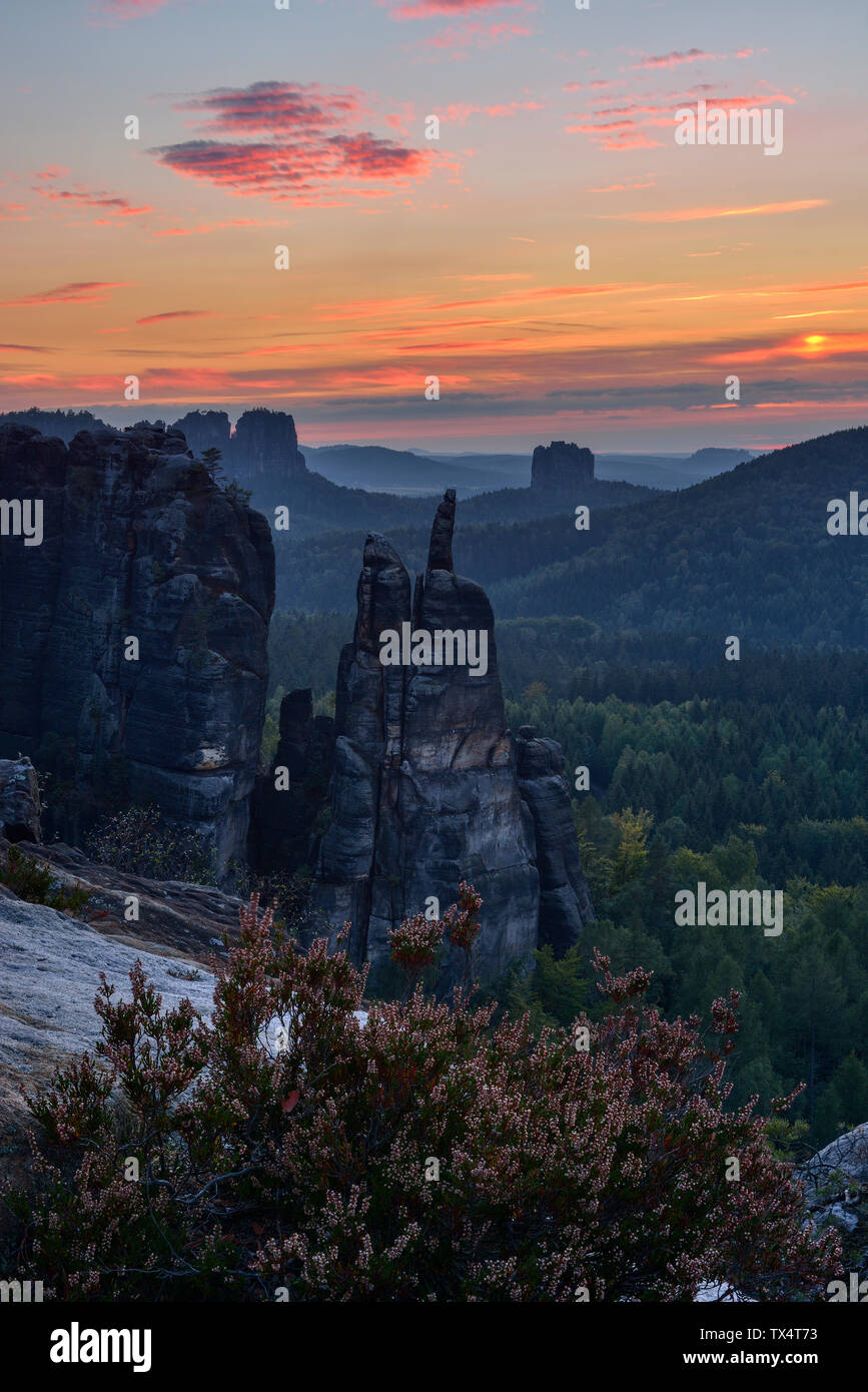 Rock needle in the forest hi-res stock photography and images - Alamy