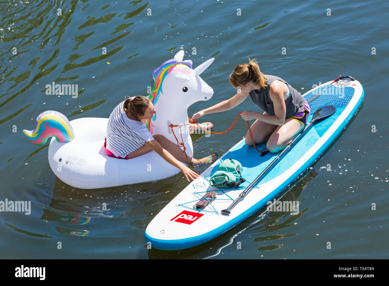Woman paddleboarder paddle boarder and inflatable unicorn inflatable having fun on Dorset Dinghy Day at River Stour, Iford, Dorset UK in June Stock Photo
