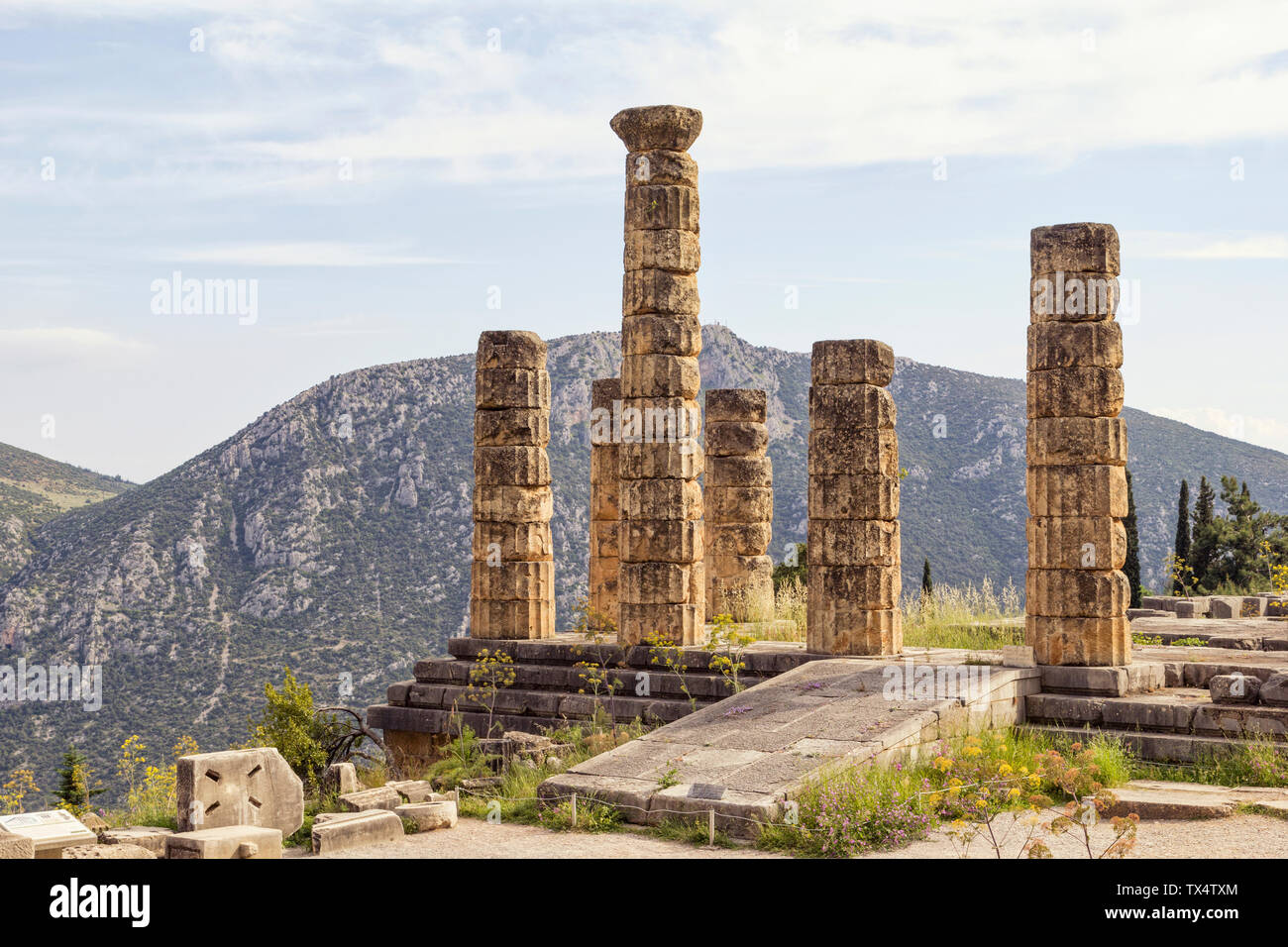 Greece, Delphi, Temple of Apollo, Doric pillars Stock Photo