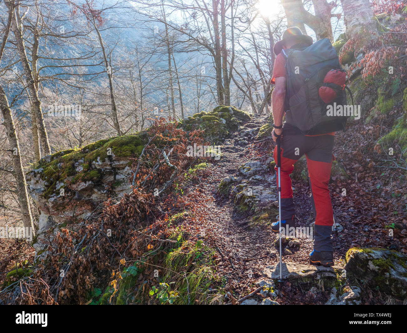 Spain, Asturia, Cantabrian Mountains, senior man on a hiking trip through the woods Stock Photo