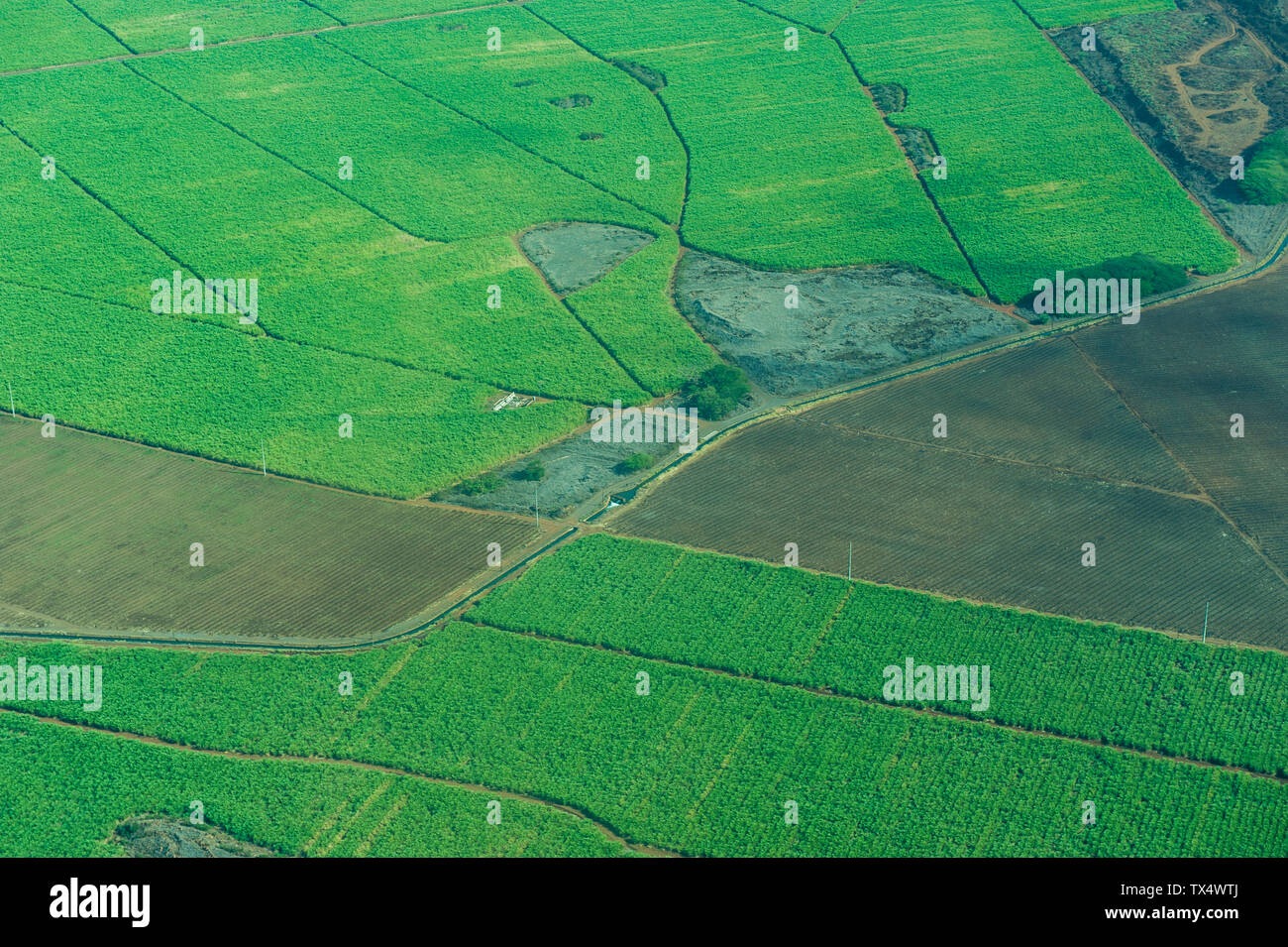 Aerial view of green fields hi-res stock photography and images - Alamy