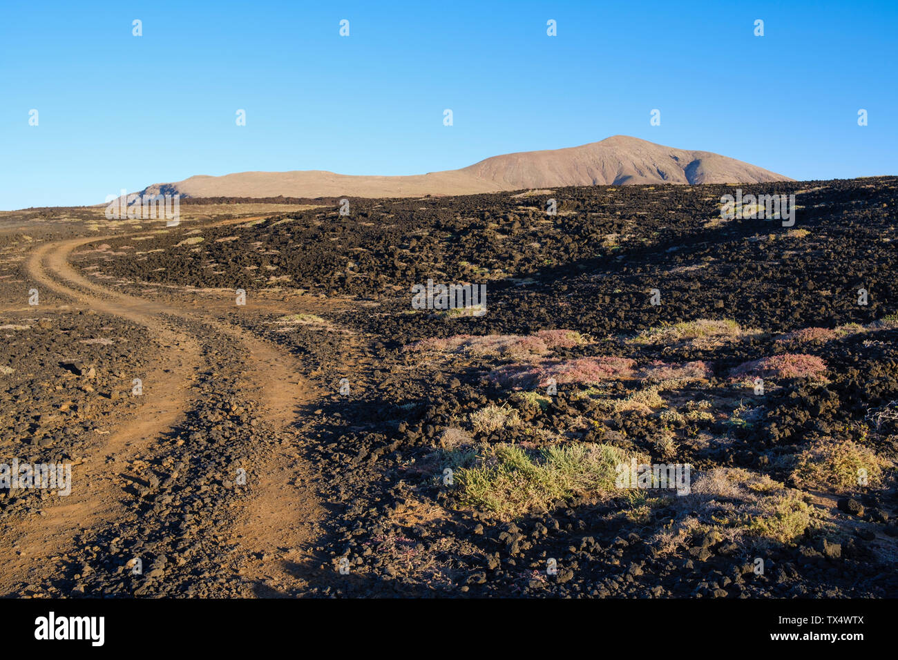 Spain, Canary Islands, Lanzarote, Tinajo, Los Volcanos nature park, traffic lane through lava field Stock Photo