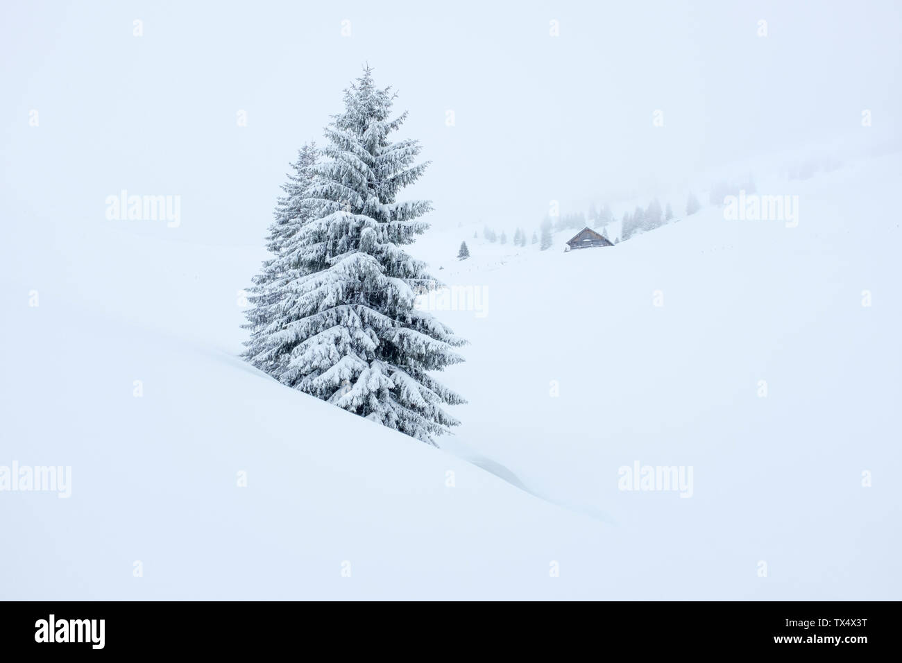 Austria, Salzburg State, Heutal, Sonntagshorn, snow-covered landscape Stock Photo