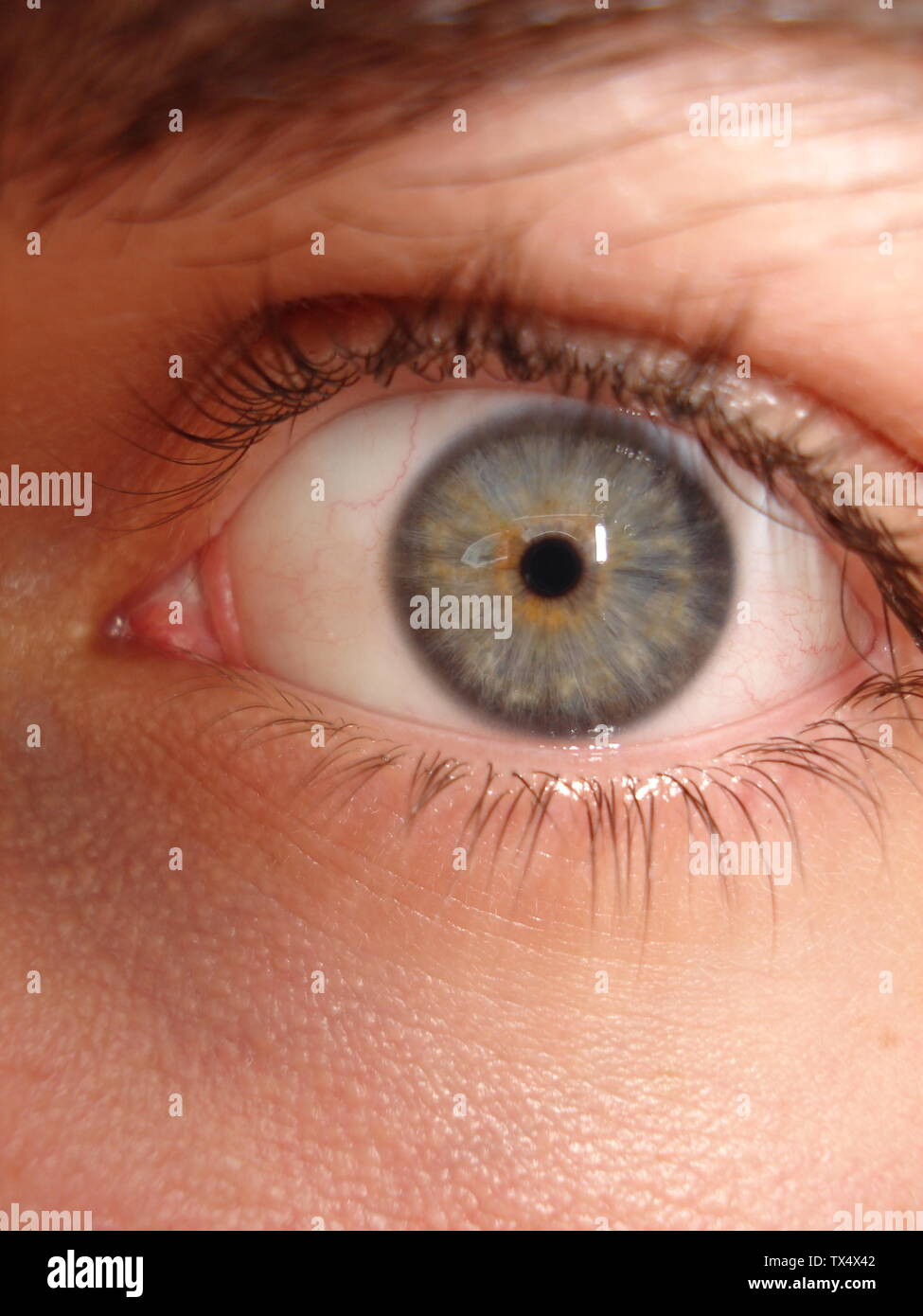 21 05 2007 High Resolution Stock Photography And Images Alamy