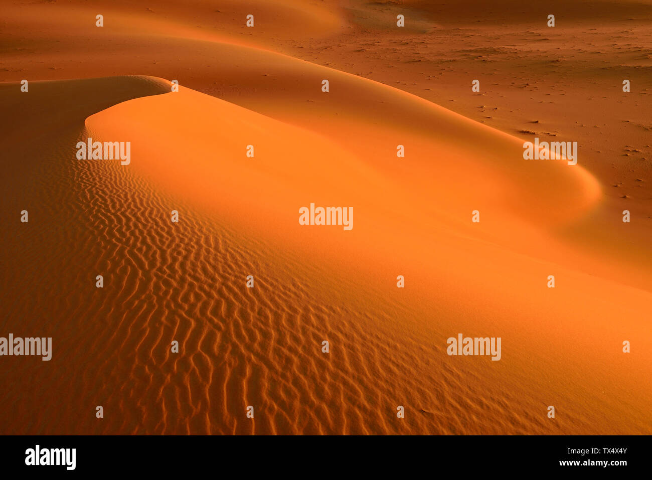 United Arab Emirates, Rub' al Khali, desert sand and ripple marks Stock Photo