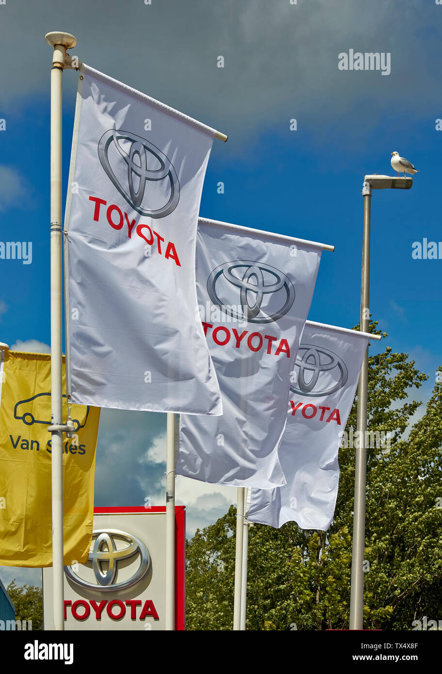 TOYOTA GARAGE SIGN AND FLAGS WITH TOYOTA LOGO OUTSIDE THE MAIN BUILDING Stock Photo