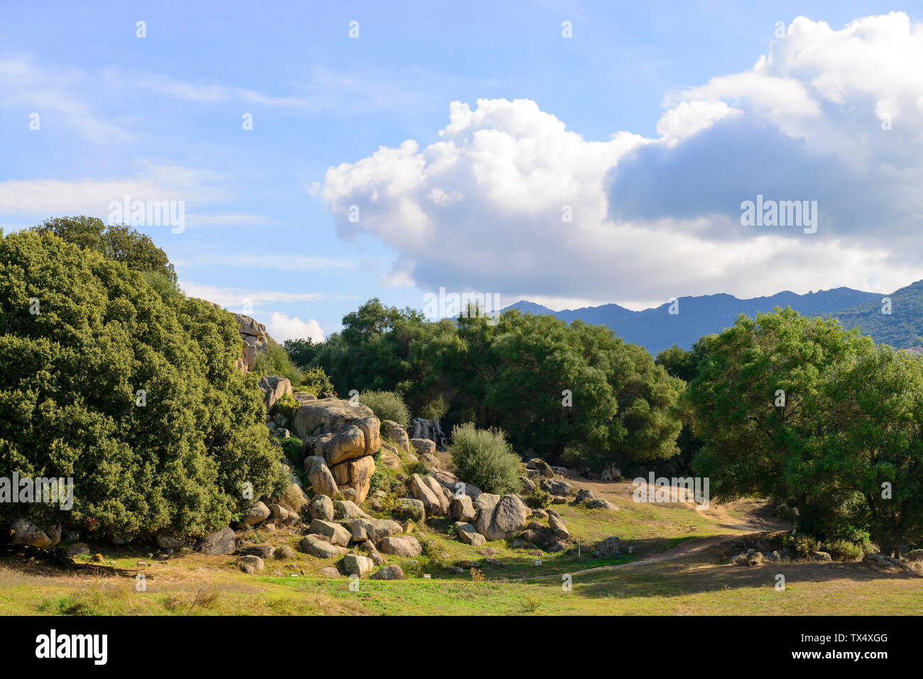 France, Corsica, prehistorical residential structure Stock Photo