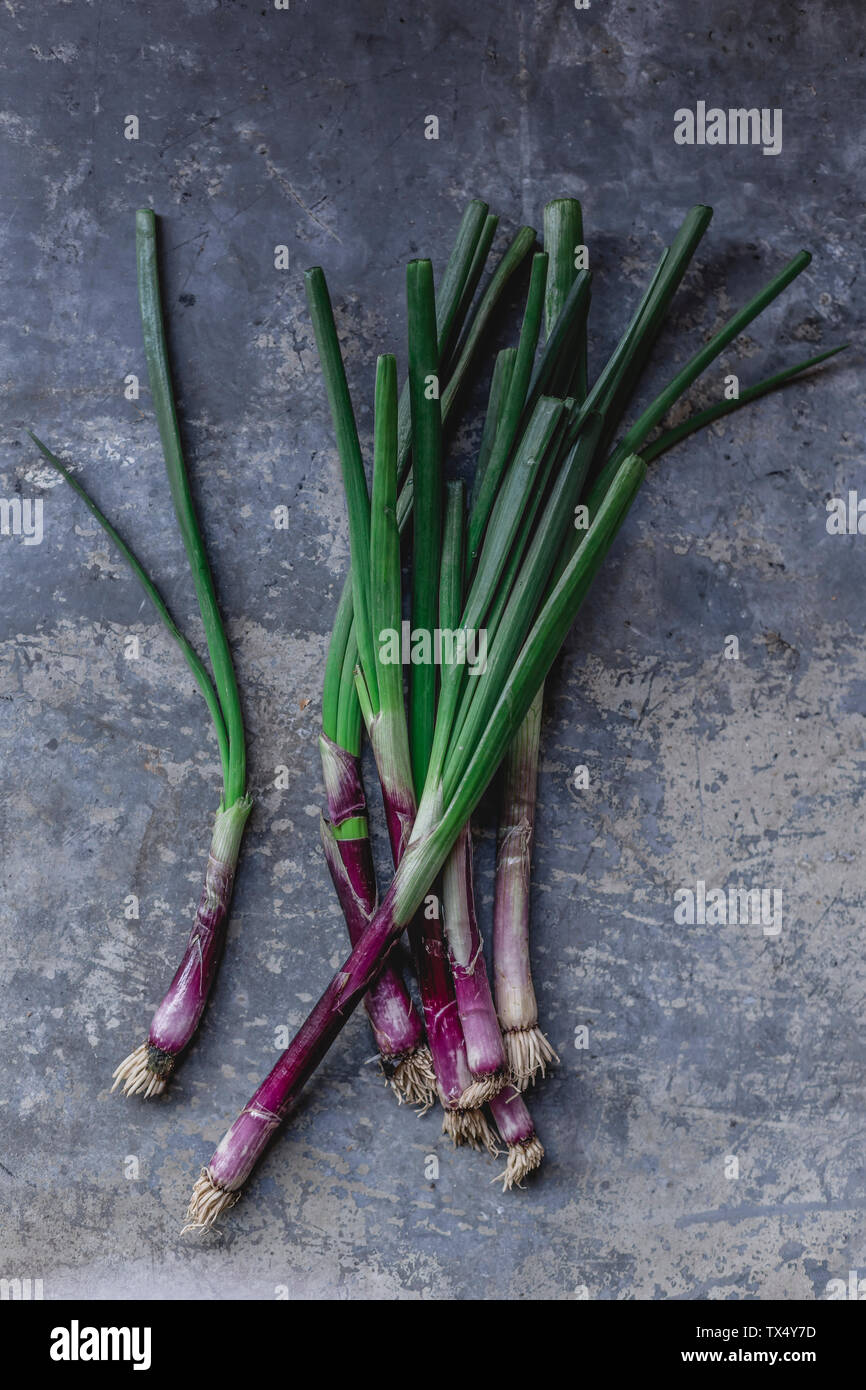 Purple spring onions Stock Photo