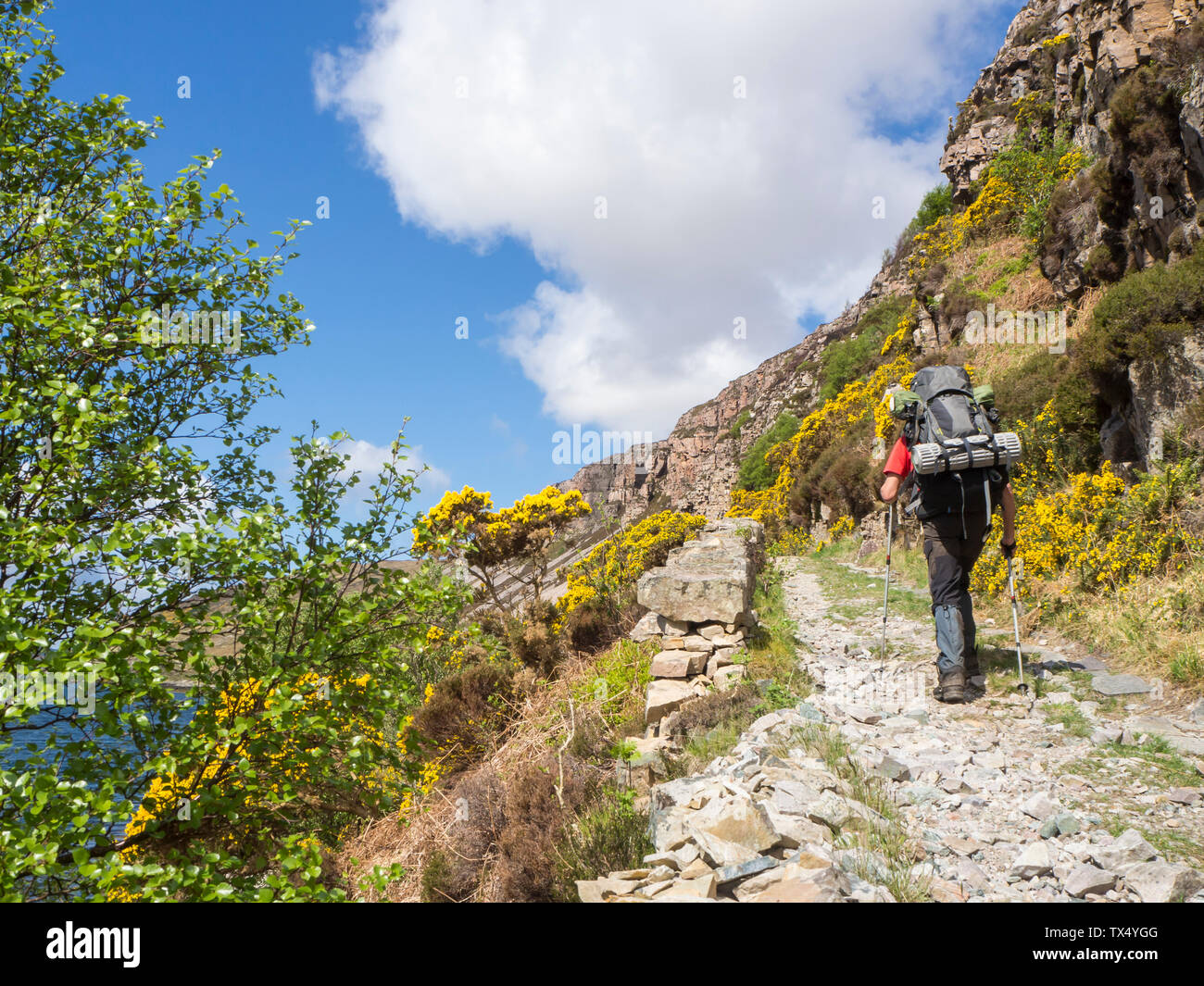 Great Britain, Scotland, Northwest Highlands, hiker at Loch Gleann Dubh Stock Photo