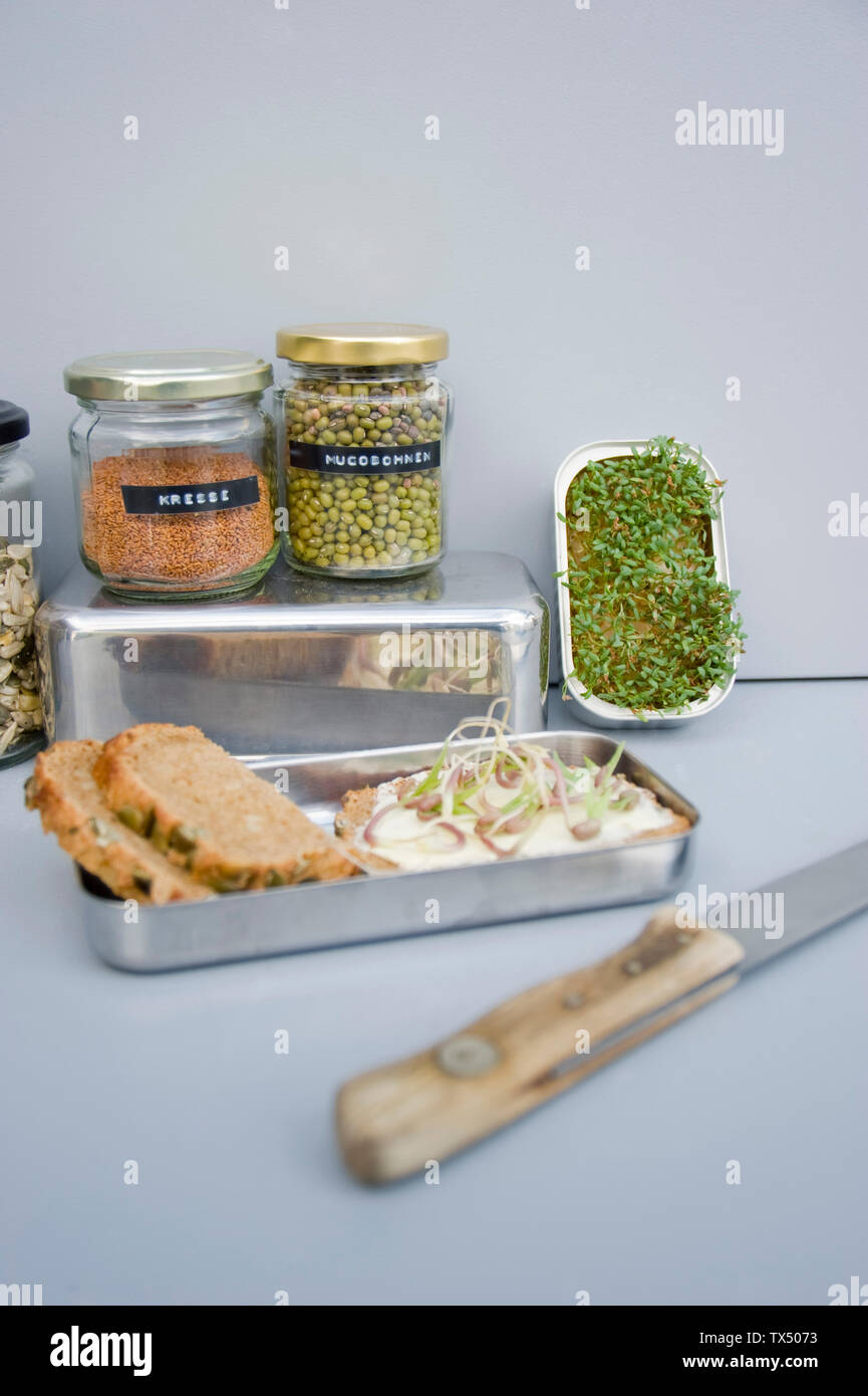 Grain sandwich with sprouts and mung sprouts Stock Photo