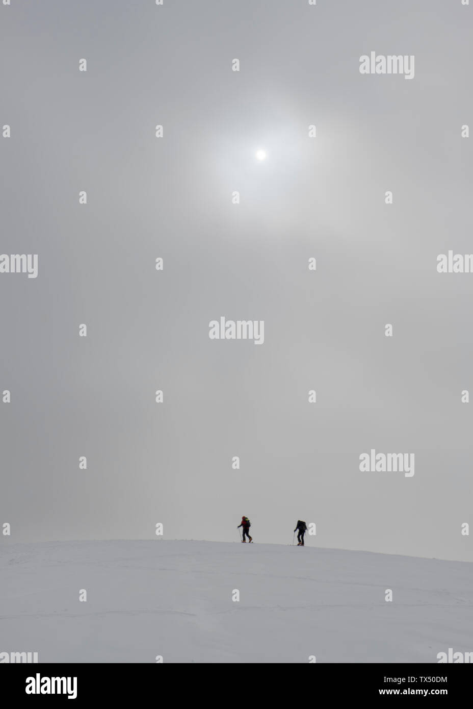 Georgia, Caucasus, Gudauri, people on a ski tour under hazy sky Stock Photo