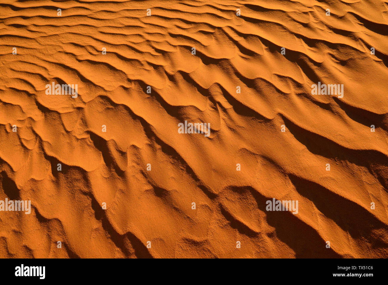 Africa, Algeria, Sahara, ripple marks, texture on a sanddune Stock Photo