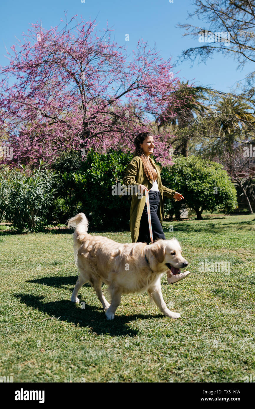 Happy woman going walkies in city park with her Labrador Retriever Stock Photo