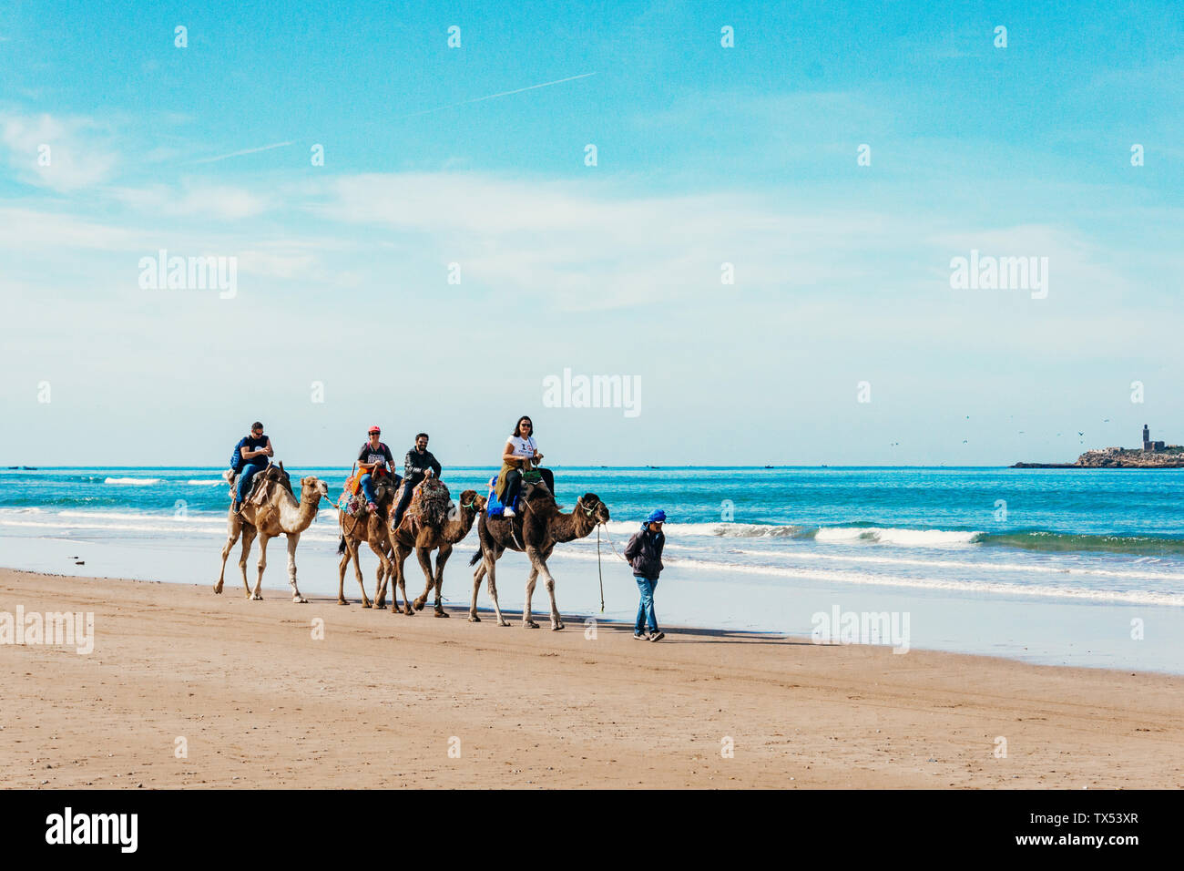 Tourists on camels on the beach. Tourism in Morocco, Algeria, Tunisia. Travel asia concept Stock Photo