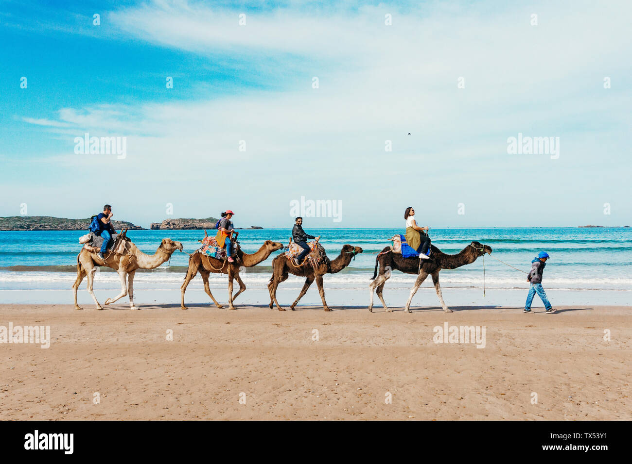 Tourists on camels on the beach. Tourism in Morocco, Algeria, Tunisia. Travel asia concept Stock Photo