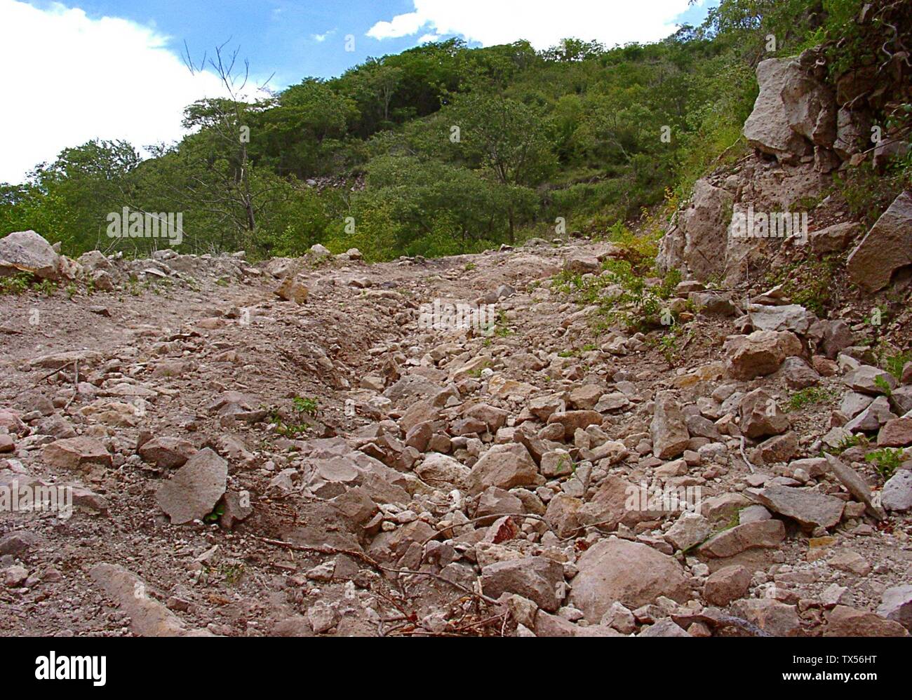 Pix26: A really rough rocky way.  Taken looking forward from the exact same spot as Pix25. Stock Photo