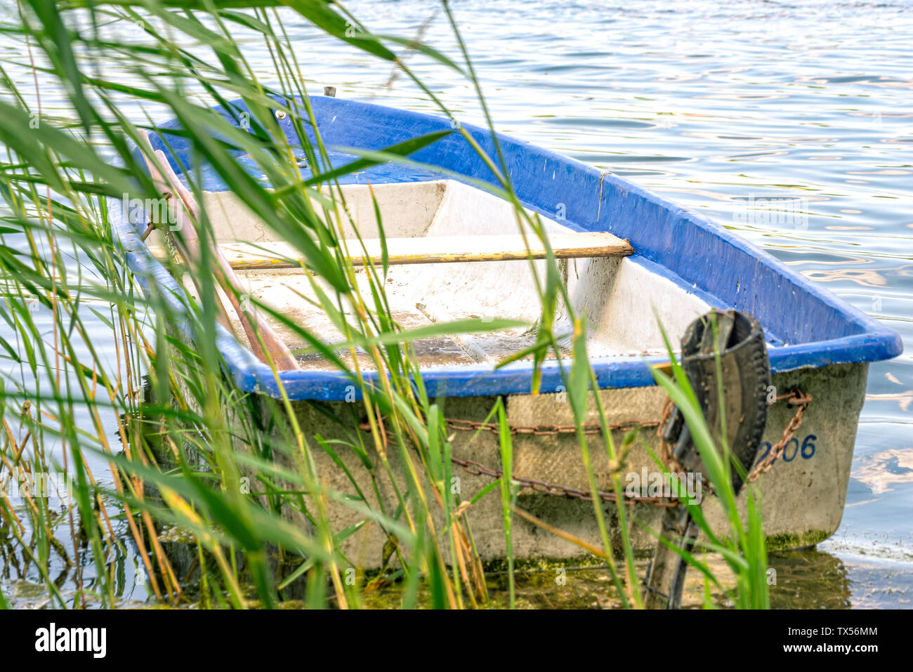 Rowing boat lies in the lake in the reed Stock Photo - Alamy