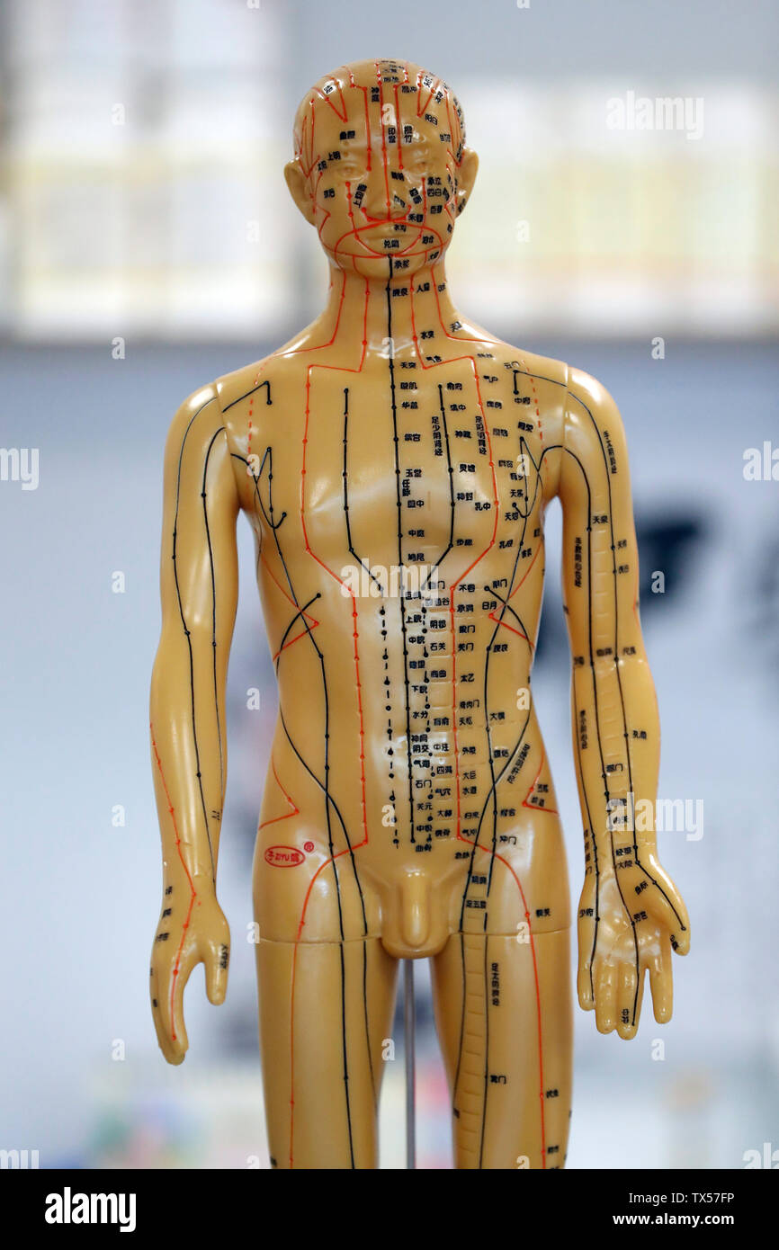 Traditional Chinese Pharmacy Stock Photo