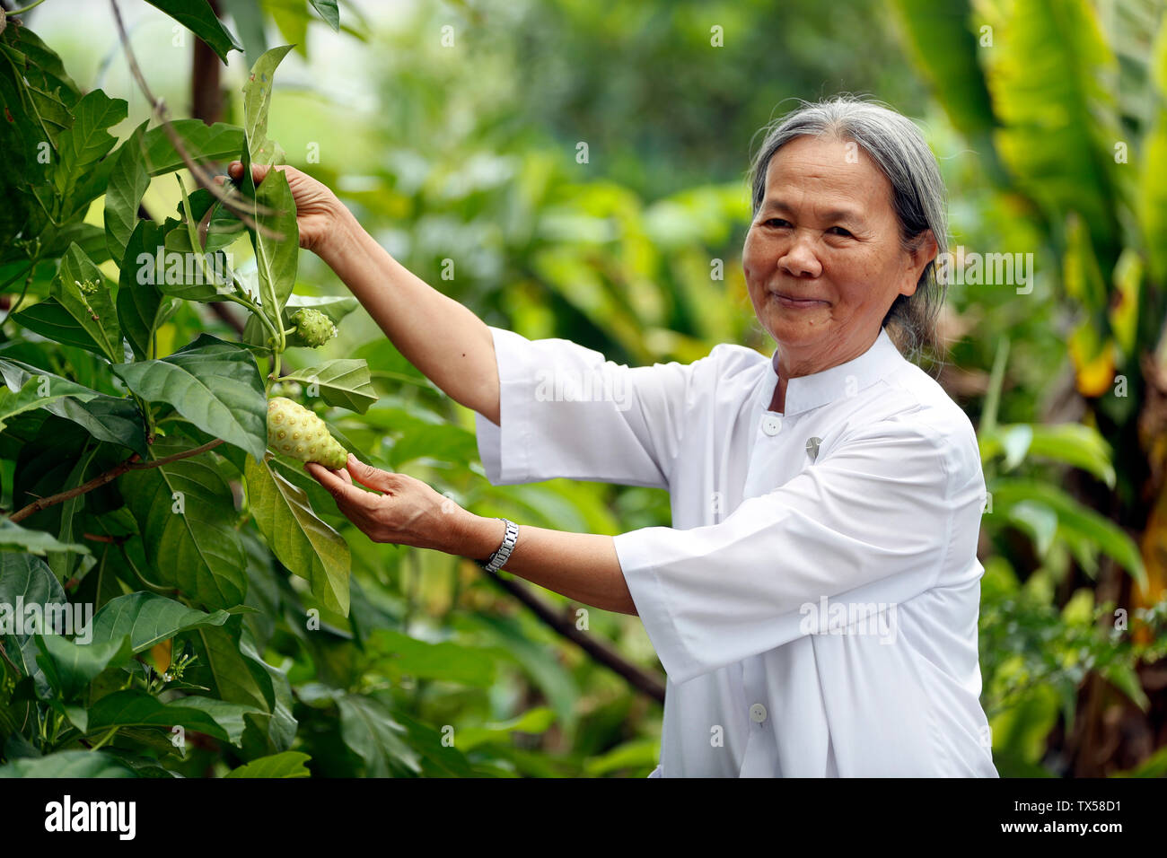 Vietnamese traditional medicine clinic Stock Photo