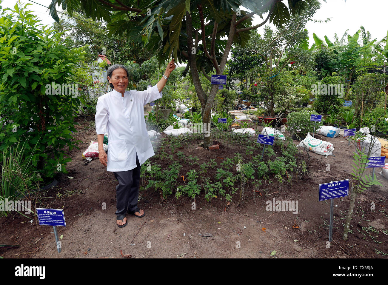 Vietnamese traditional medicine clinic Stock Photo