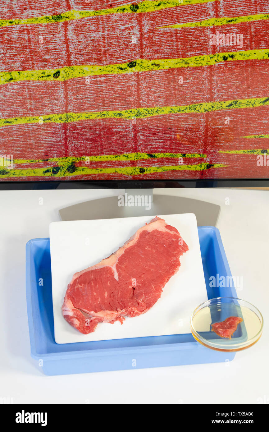Steak in a lab Stock Photo Alamy