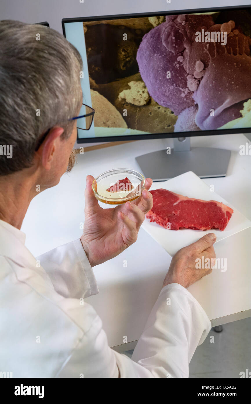 Steak in a lab Stock Photo Alamy
