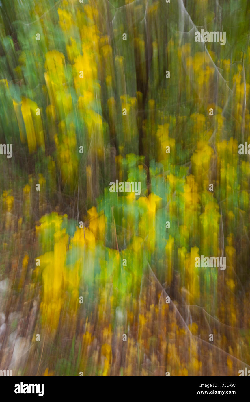 Colores de colores del otoño hi-res stock photography and images - Alamy