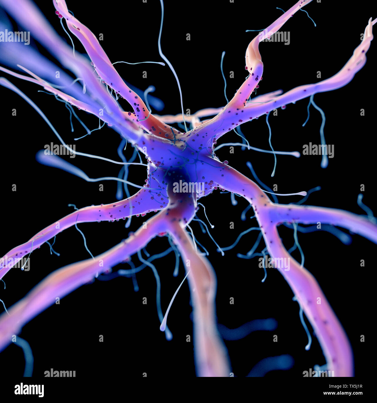 3d rendered, medically accurate illustration of a nerve cell Stock ...