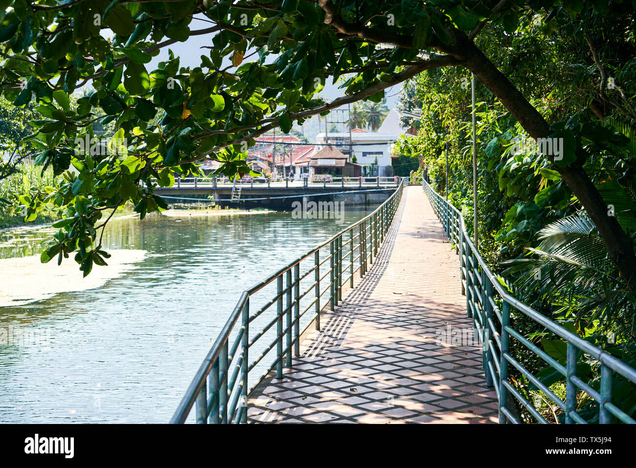 Brick pedestrian bridge on river in tropical island. scenic road under green mangrove trees Stock Photo