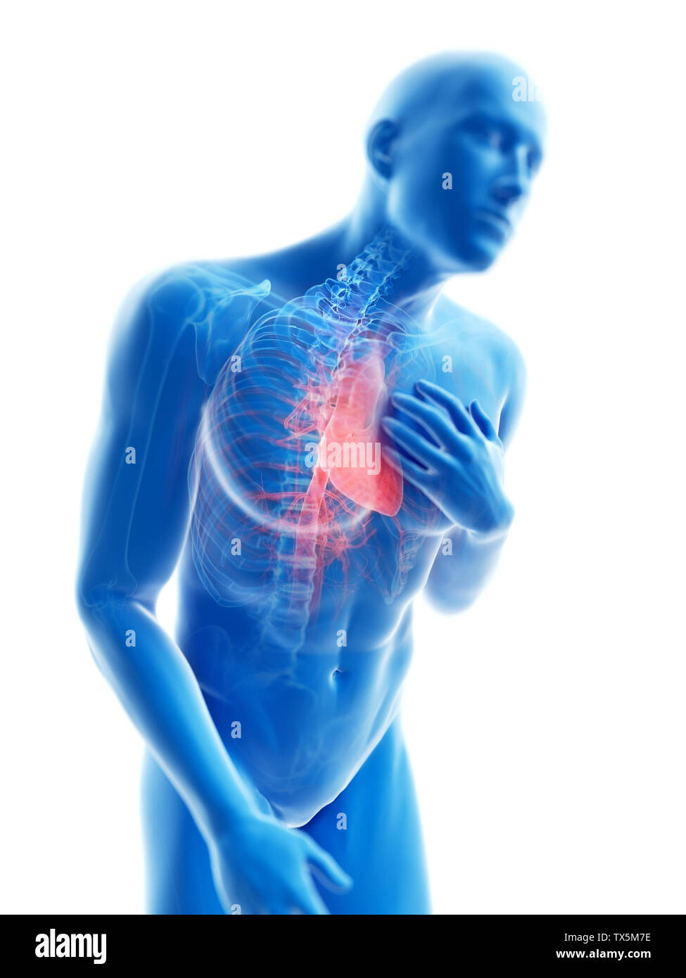 3d rendered illustration of a man having pain in the chest Stock Photo