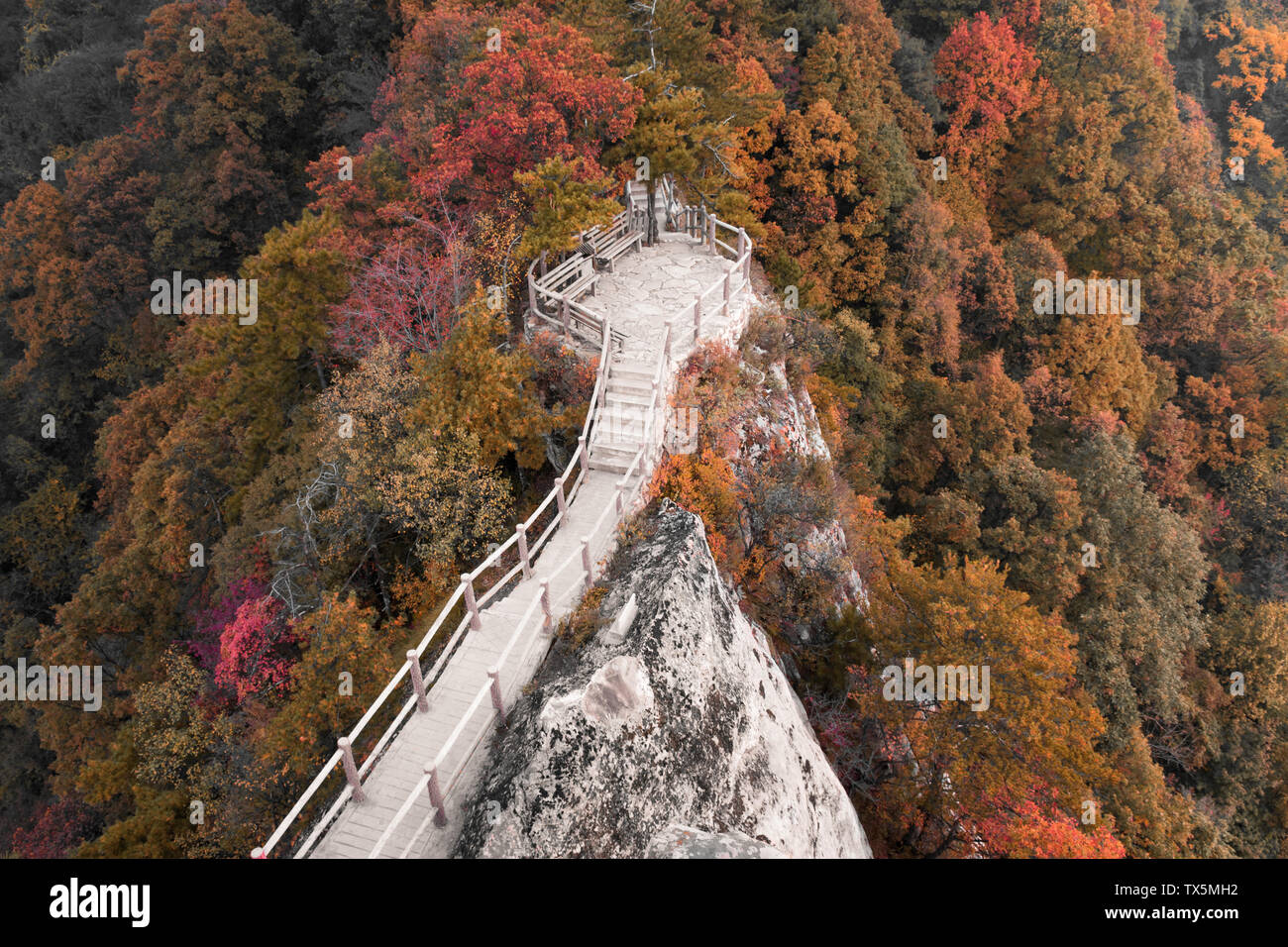 Photographed in Xiangyu Forest Park, Qinling Stock Photo