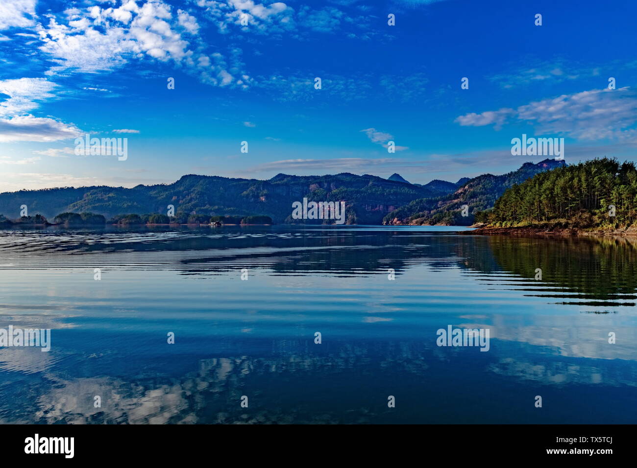 Big Golden Lake skimming Stock Photo Alamy