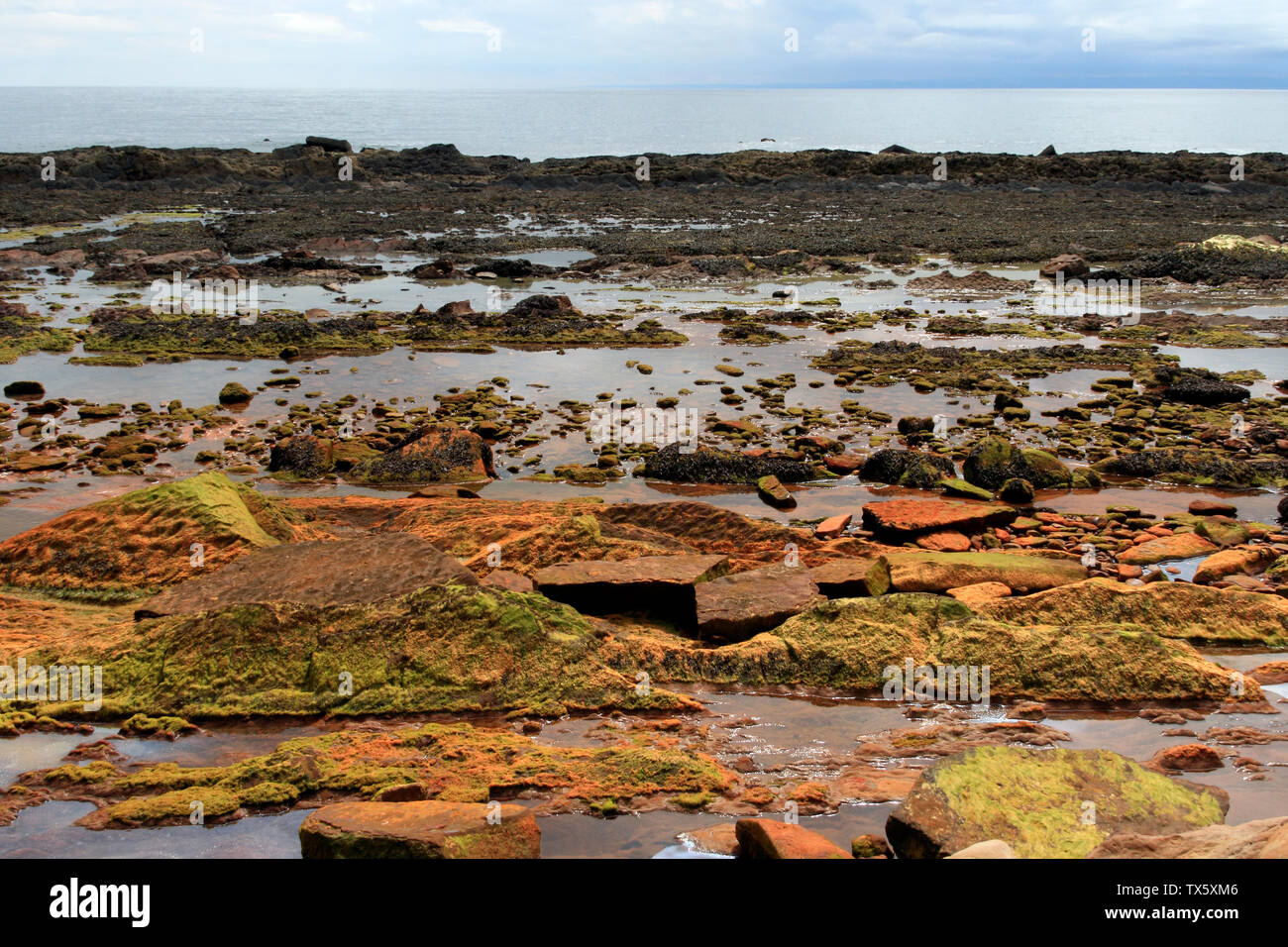 Fife Coastal Path between St Monans and Pittenweem, Scotland, UK Stock Photo Alamy