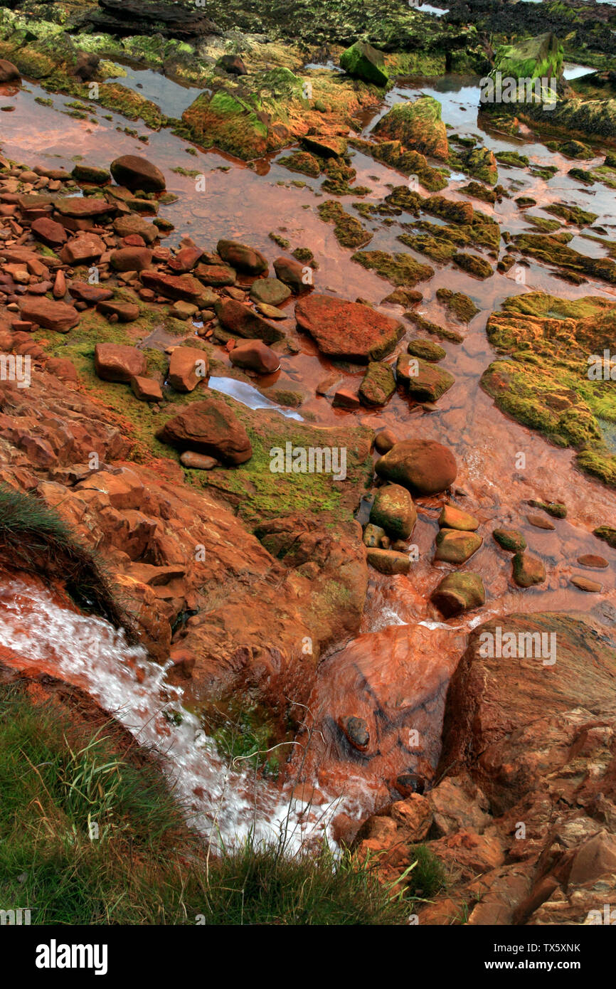 Fife Coastal Path between St Monans and Pittenweem, Scotland, UK Stock Photo Alamy