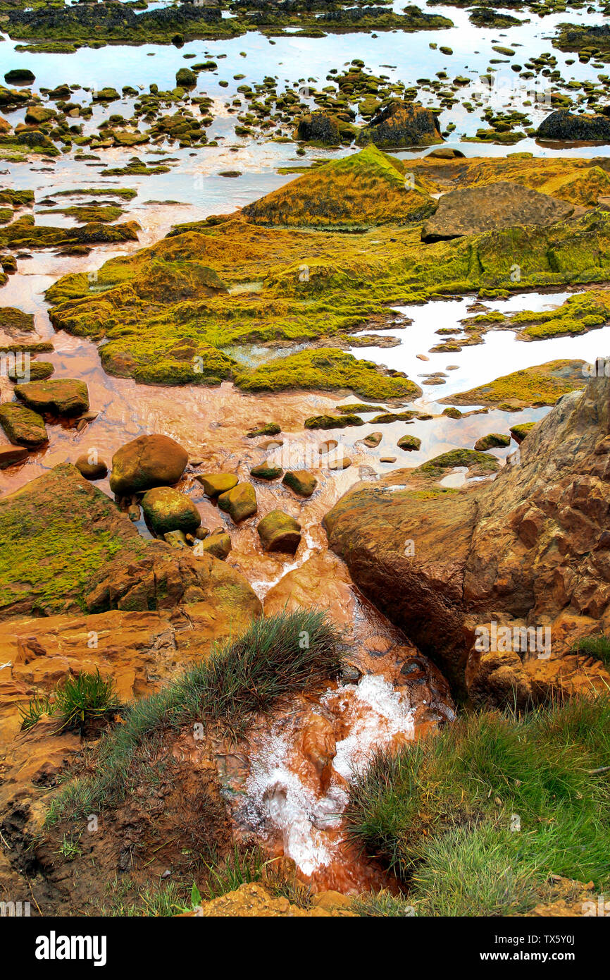 Fife Coastal Path between St Monans and Pittenweem, Scotland, UK Stock Photo Alamy