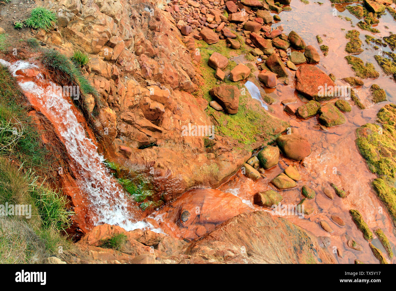 Fife Coastal Path between St Monans and Pittenweem, Scotland, UK Stock Photo Alamy
