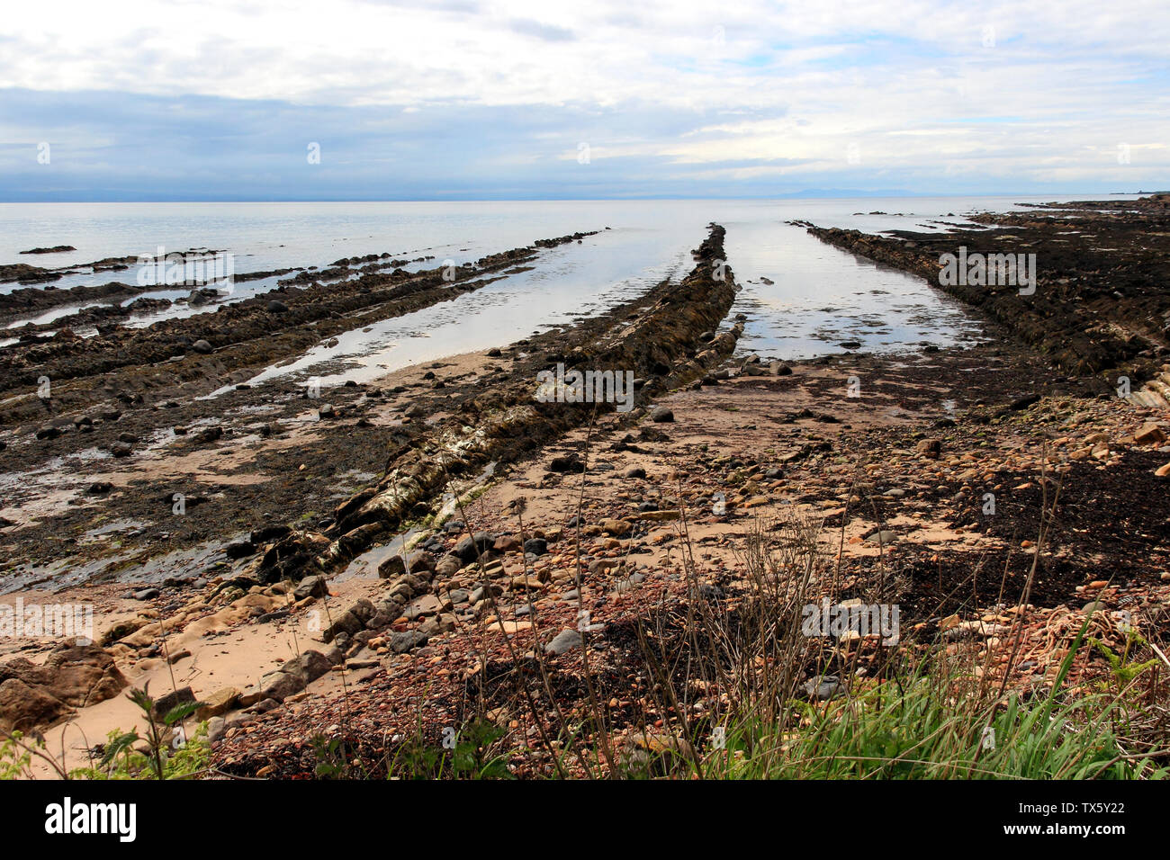 Fife Coastal Path between St Monans and Pittenweem, Scotland, UK Stock