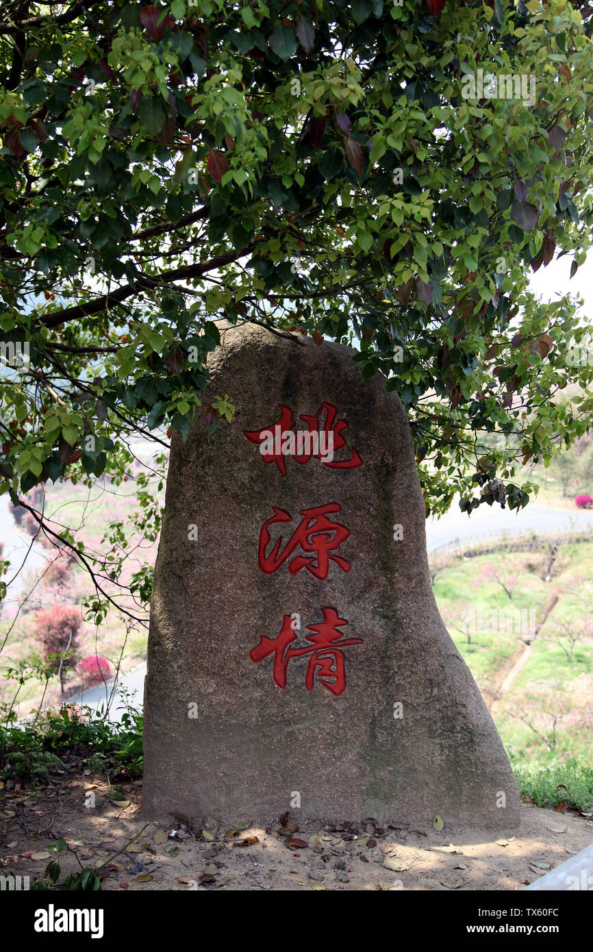 The place where peach blossoms bloom in Yangshan, Tonglu, Hangzhou Stock Photo