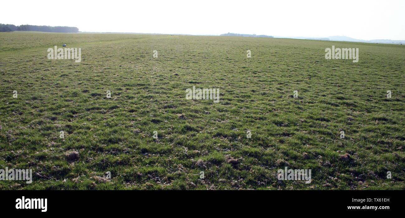 The Curragh Training Grounds located in Newbridge, Co Kildare have enjoyed There is written evidence of horse racing dating back to the third century when Contact Curragh Horse Trainers - Curragh Training Grounds