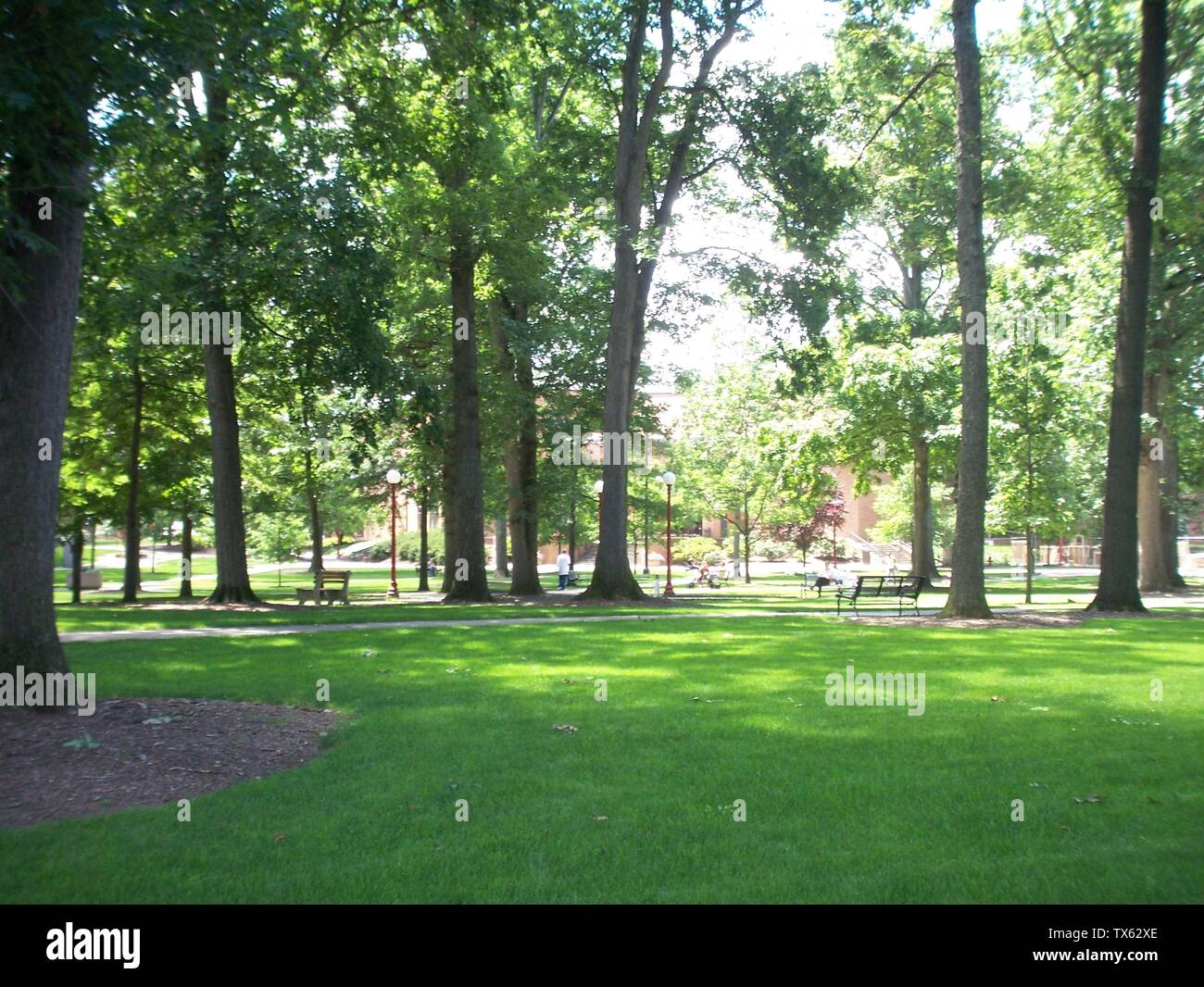 University grove High Resolution Stock Photography and Images Alamy