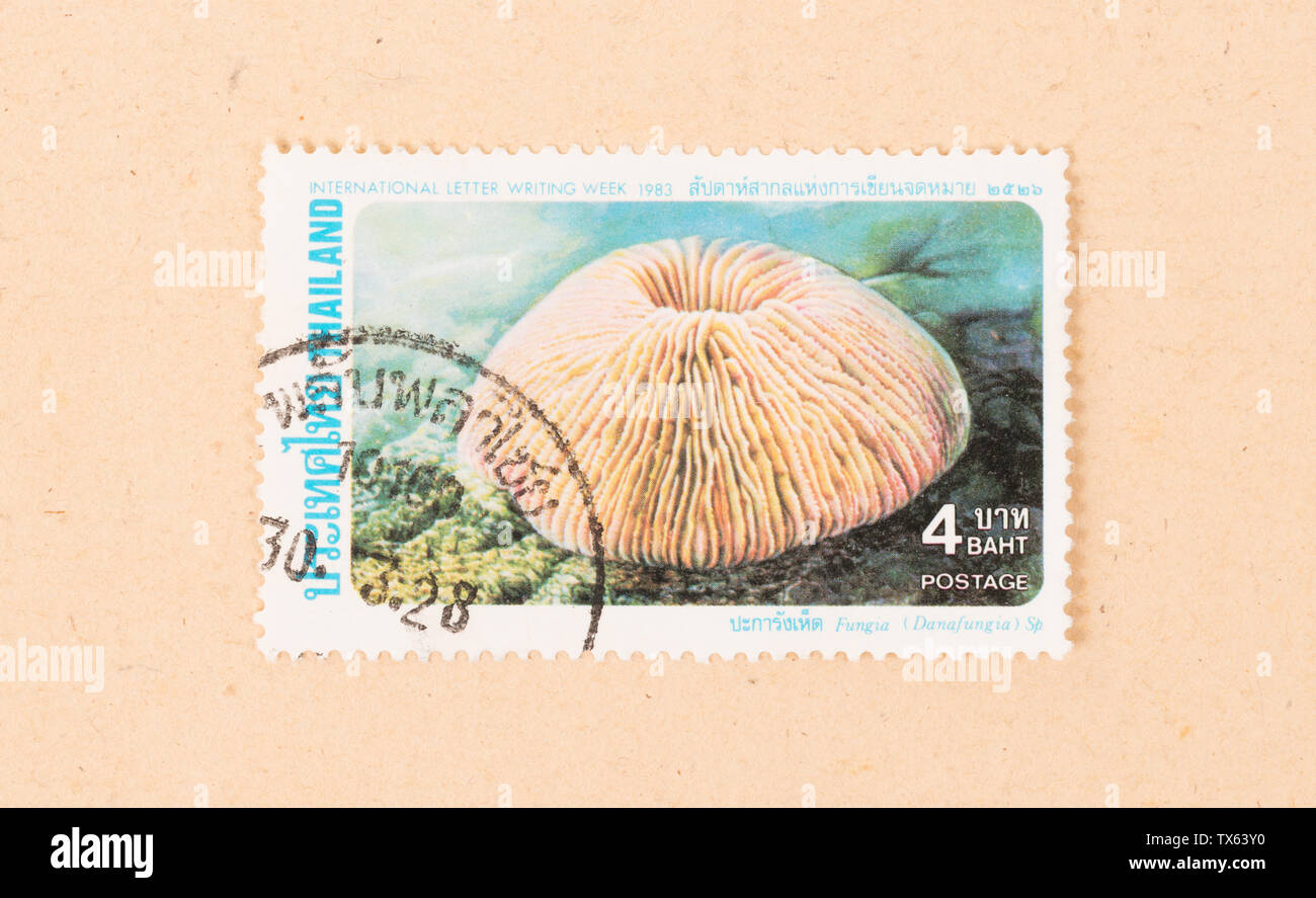 THAILAND - CIRCA 1983: A stamp printed in Thailand shows sealife, circa ...