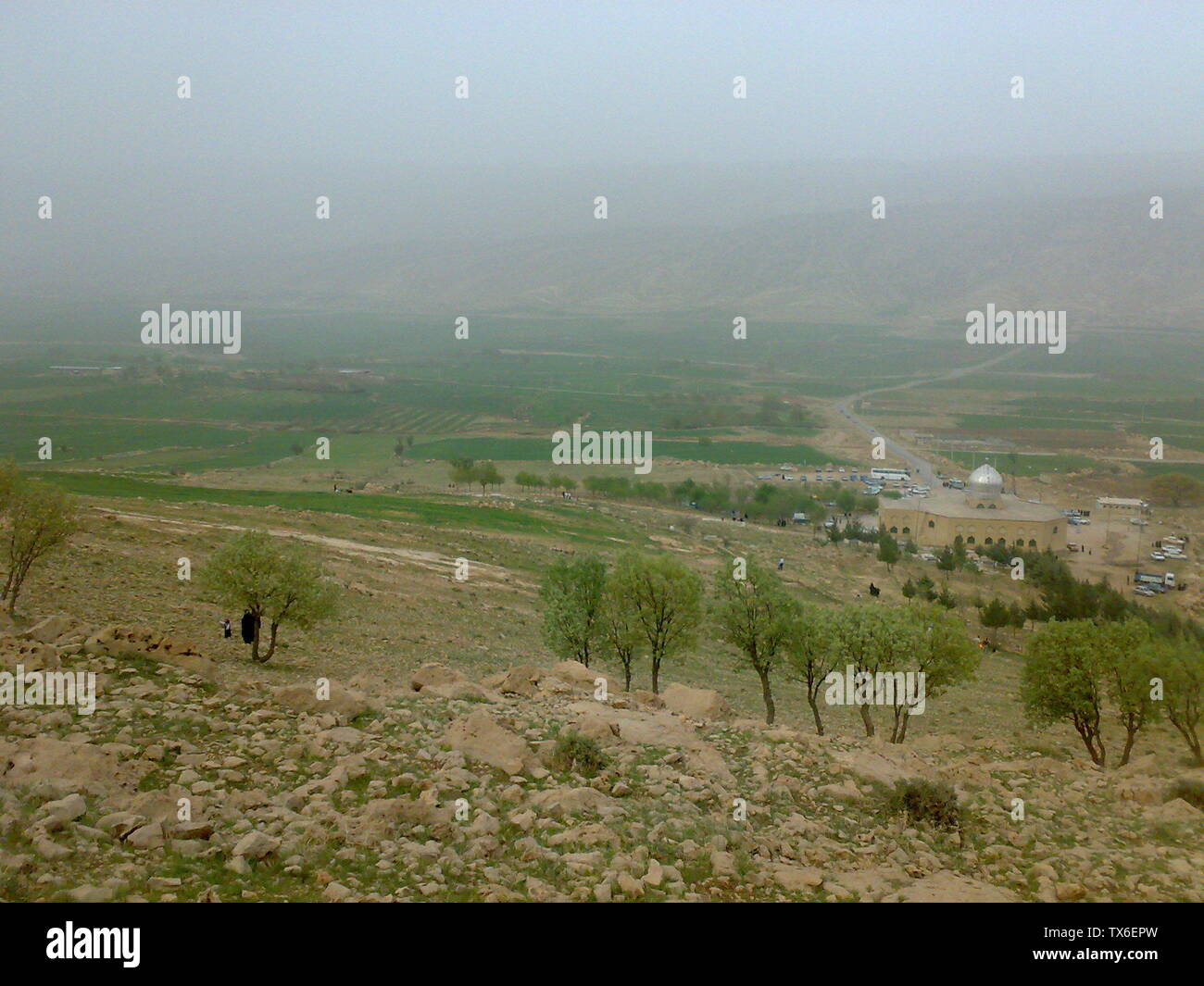 زرادية