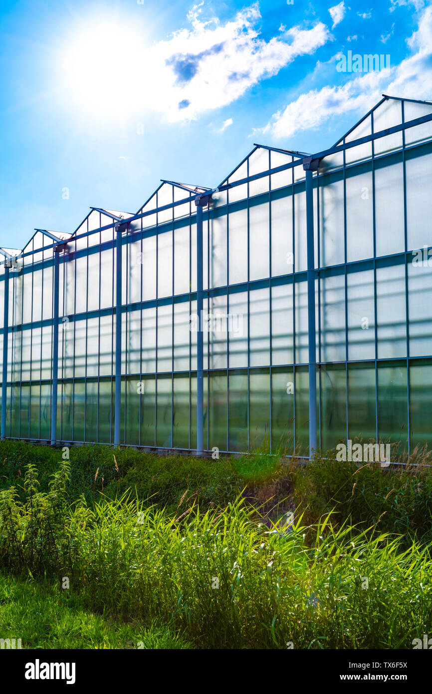 glass-greenhouses-growing-plants-view-hi-res-stock-photography-and
