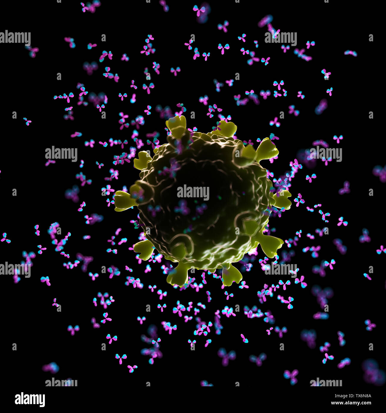 Red cell antibodies hi-res stock photography and images - Alamy