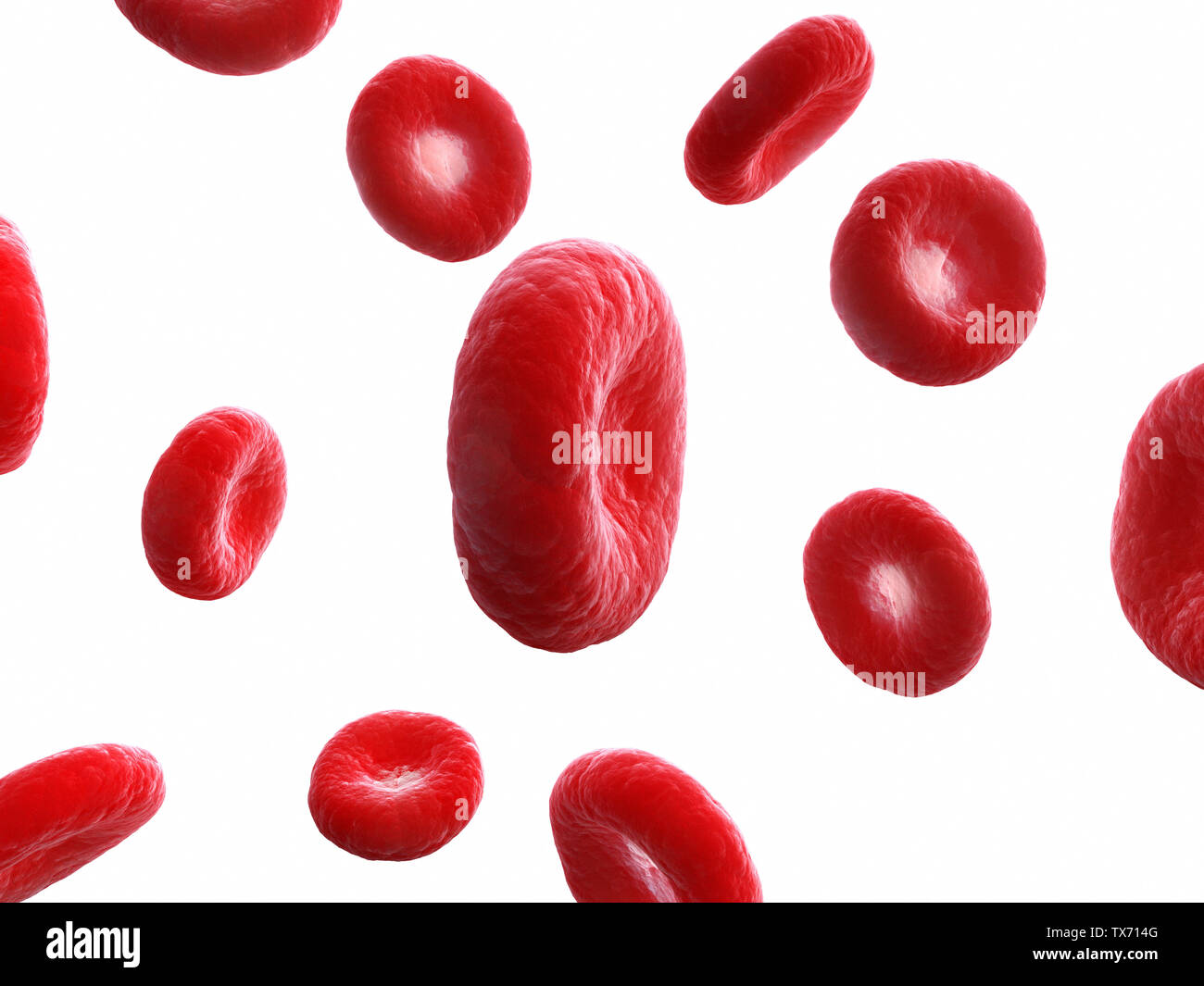 3d rendered medically accurate illustration of human blood cells Stock Photo Alamy