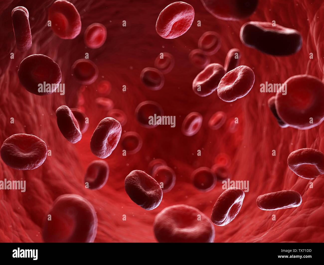 3d rendered medically accurate illustration of Stock Photo - Alamy