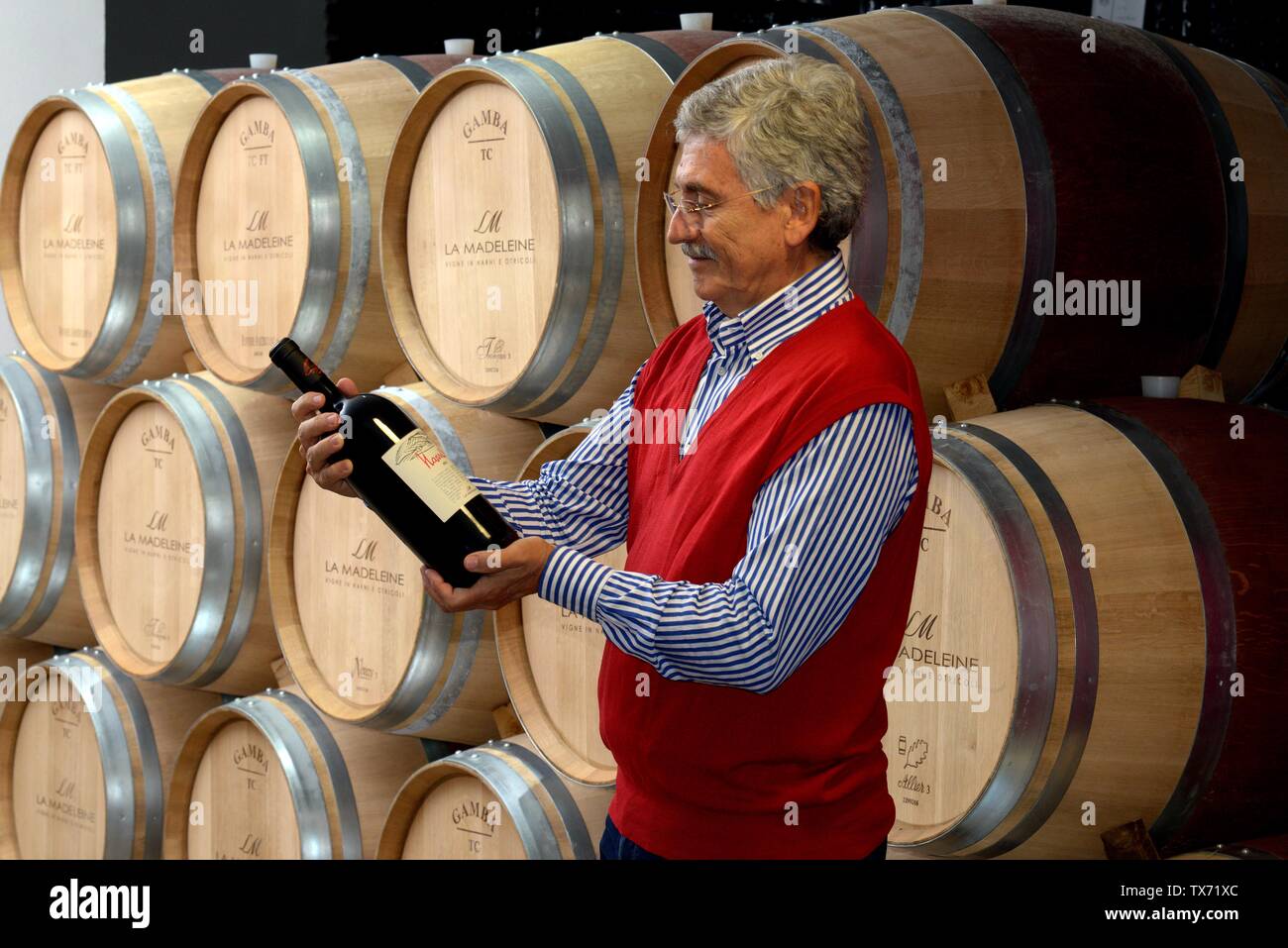 Former italian prime minister and minister of foreing affairs Massimo D'alema in the cellar of his estate 'Cantina La Madeleine' where he produces win Stock Photo