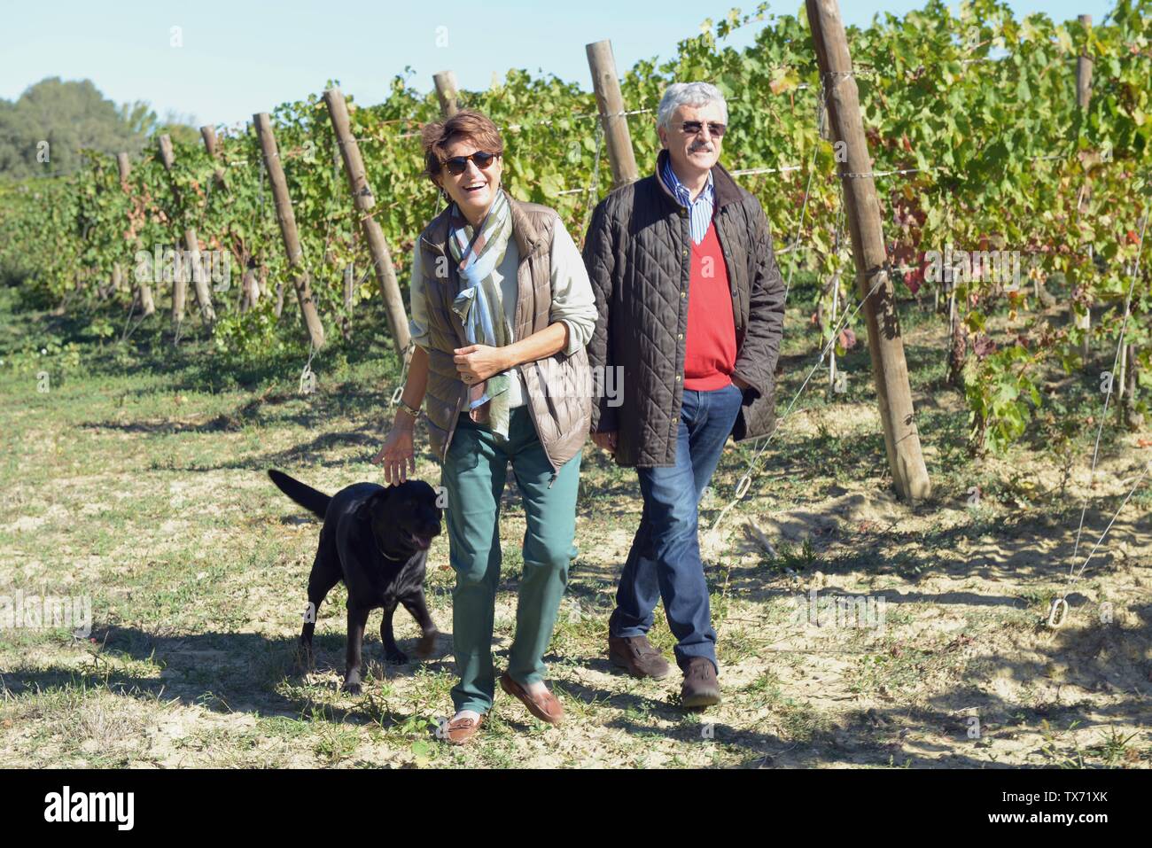 Former italian prime minister and minister of foreing affairs Massimo D'alema and his wife Linda Giuva in the vineyard of their estate 'Cantina La Mad Stock Photo