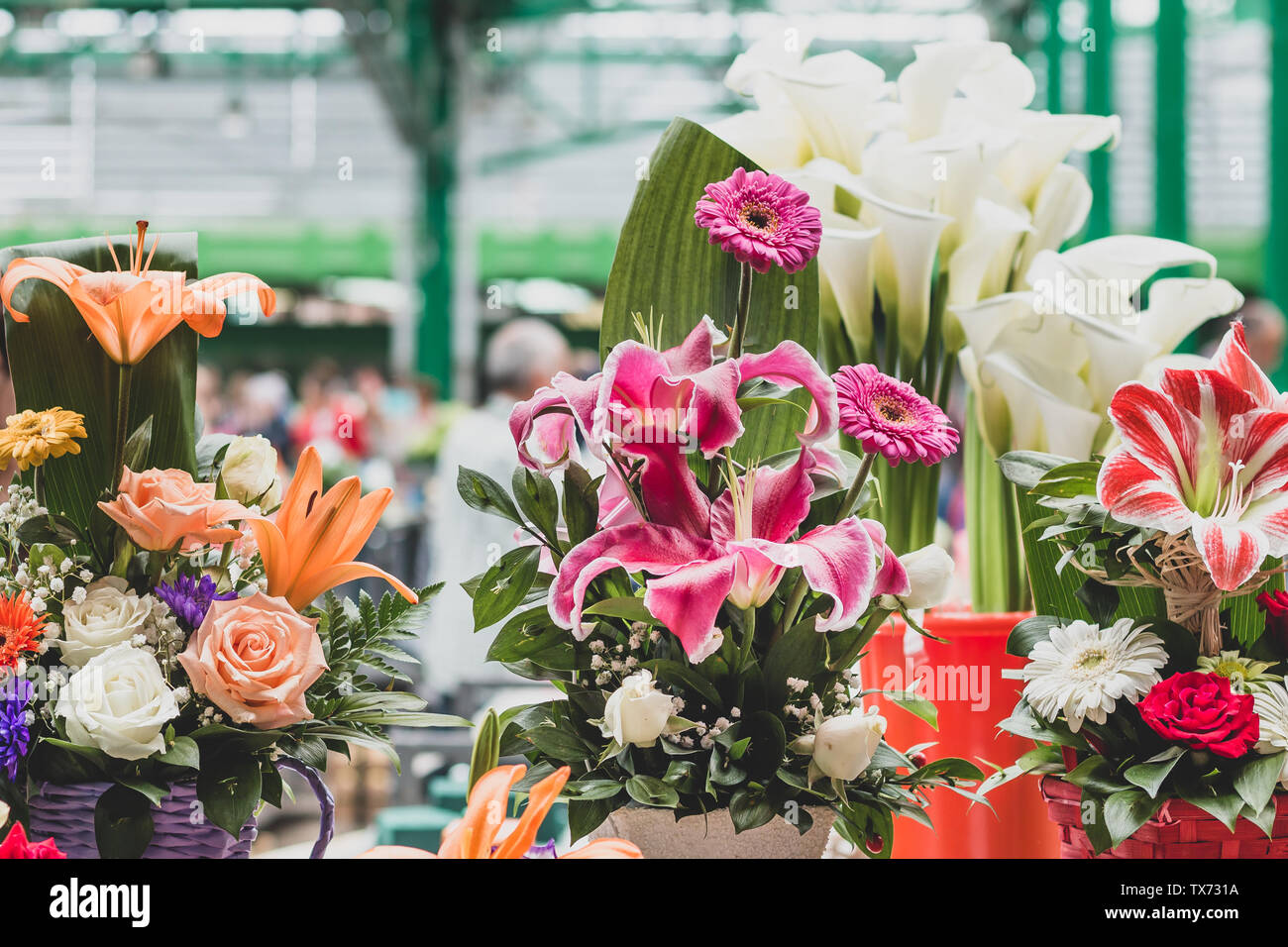 Various flower arrangements in small decorative pots on the marketplace counter in Belgrade. Close up. Stock Photo