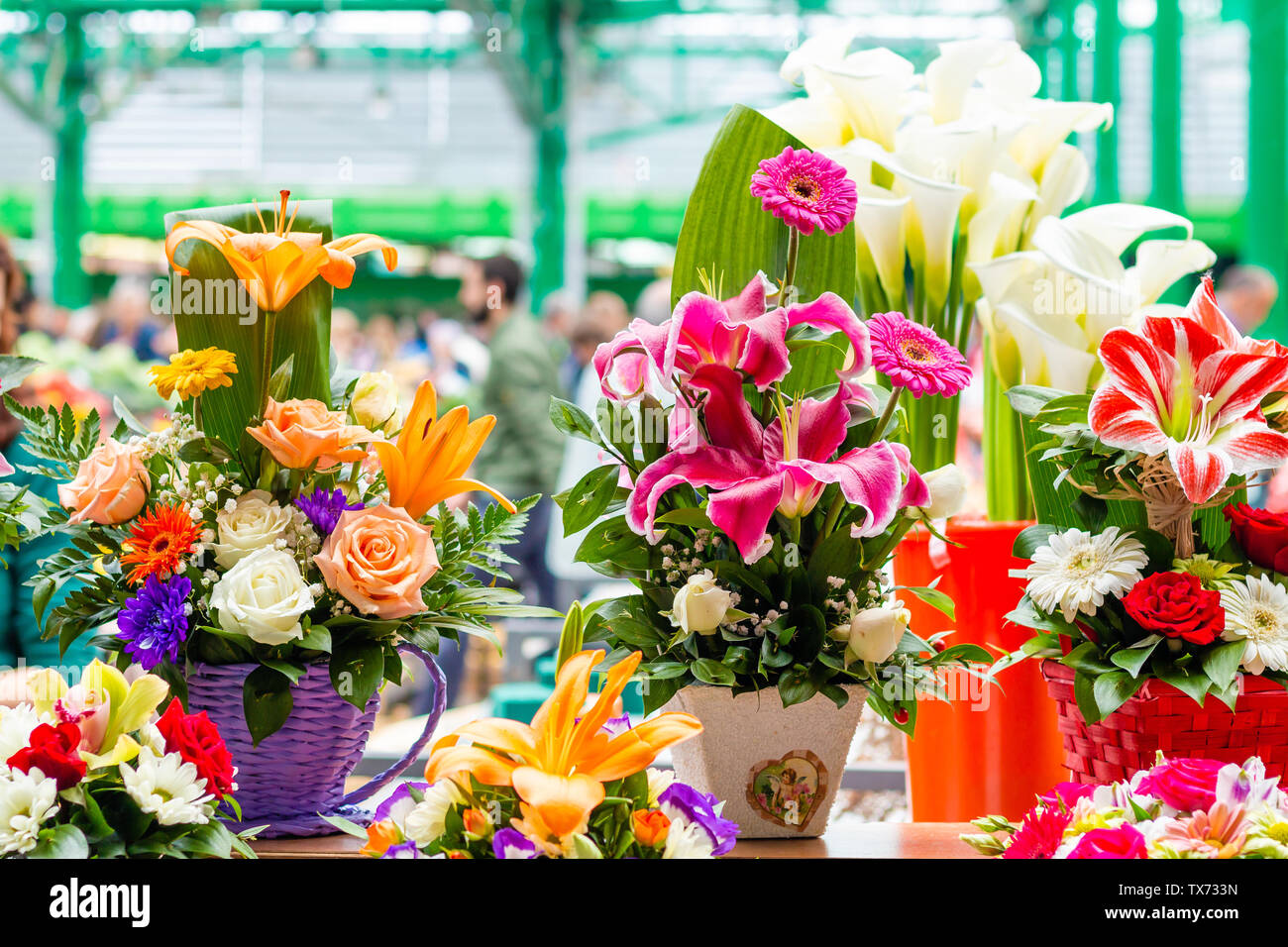 Various flower arrangements in small decorative pots on the marketplace counter in Belgrade. Close up. Stock Photo